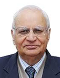 Prof. Prof Prem Vrat
